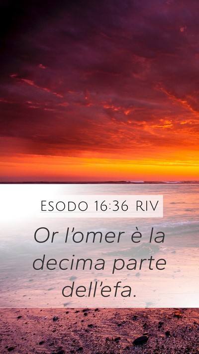 Esodo 16:36 RIV Bible Verse Image