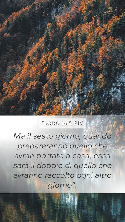 Esodo 16:5 RIV Bible Verse Image