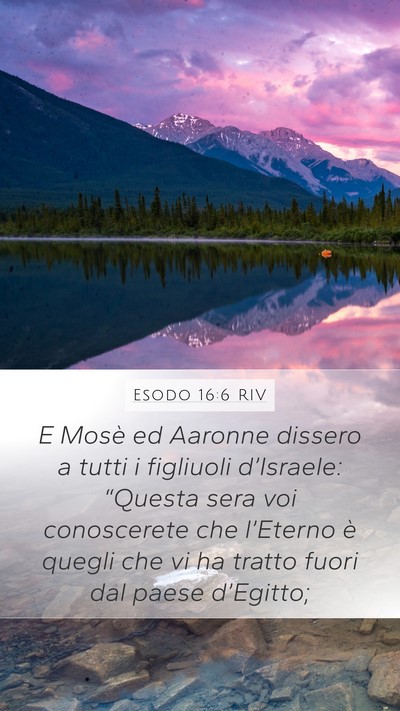 Esodo 16:6 RIV Mobile Phone Wallpaper - E Mosè ed Aaronne dissero a tutti i figliuoli - Mobile Bible Verse Wallpaper