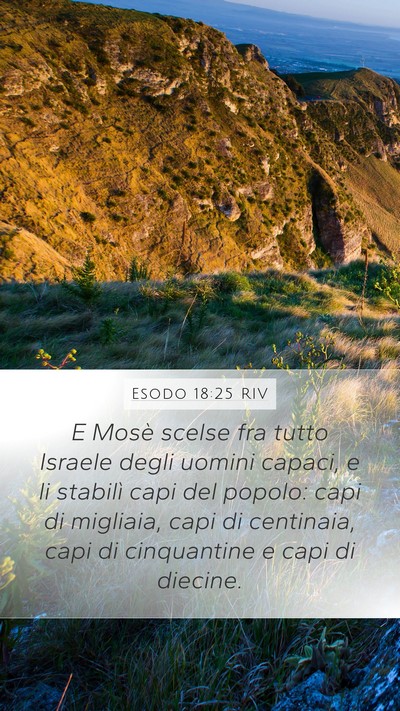 Esodo 18:25 RIV Bible Verse Image
