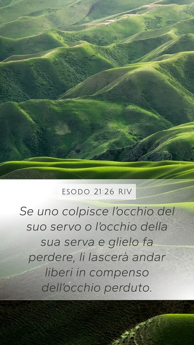 Esodo 21:26 RIV Mobile Phone Wallpaper - Se uno colpisce l’occhio del suo servo o - Mobile Bible Verse Wallpaper