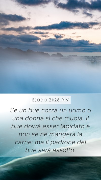 Esodo 21:28 RIV Bible Verse Image