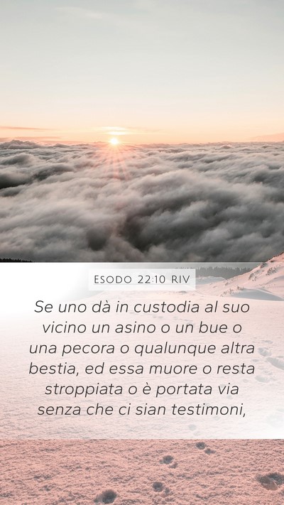 Esodo 22:10 RIV Bible Verse Image