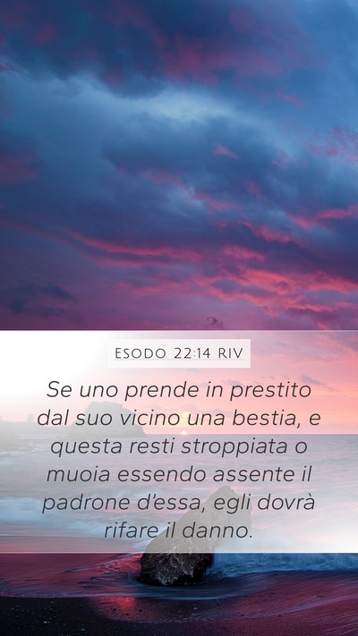 Esodo 22:14 RIV Bible Verse Image