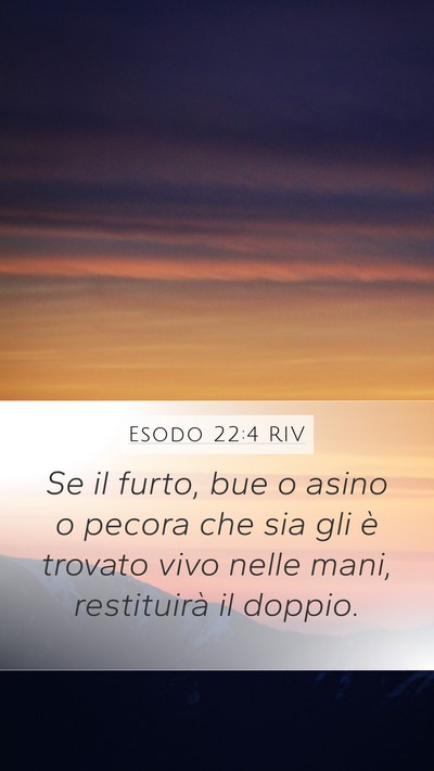 Esodo 22:4 RIV Bible Verse Image