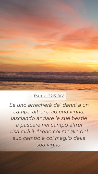 Esodo 22:5 RIV Mobile Phone Wallpaper - Se uno arrecherà de’ danni a un campo altrui o - Mobile Bible Verse Wallpaper