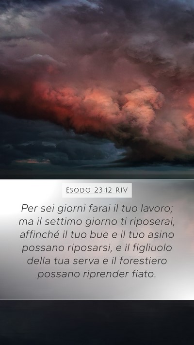 Esodo 23:12 RIV Bible Verse Image
