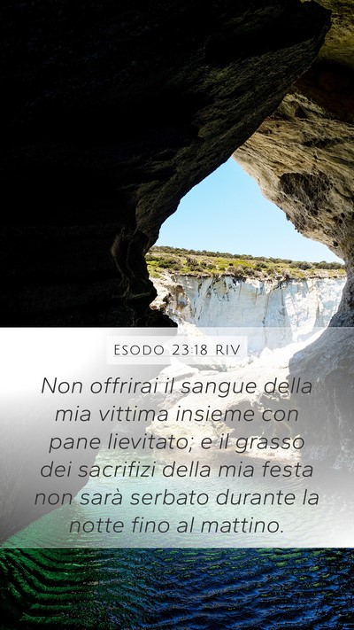 Esodo 23:18 RIV Mobile Phone Wallpaper - Non offrirai il sangue della mia vittima insieme - Mobile Bible Verse Wallpaper