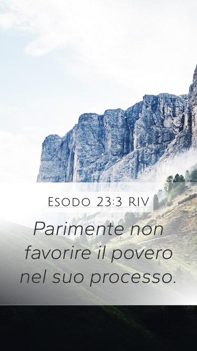 Esodo 23:3 RIV Bible Verse Image
