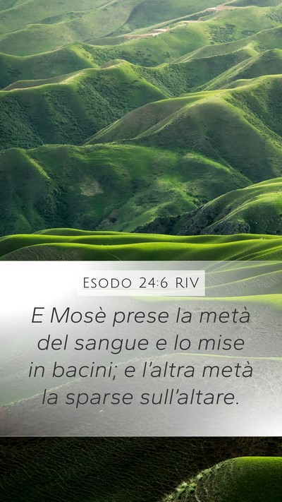 Esodo 24:6 RIV Bible Verse Image