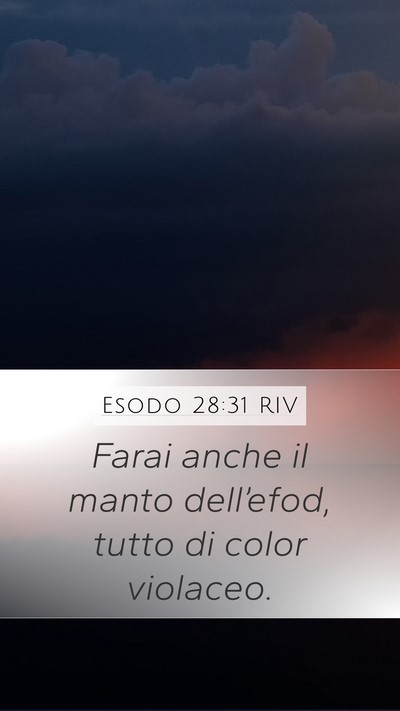Esodo 28:31 RIV Mobile Phone Wallpaper - Farai anche il manto dell’efod, tutto di color - Mobile Bible Verse Wallpaper
