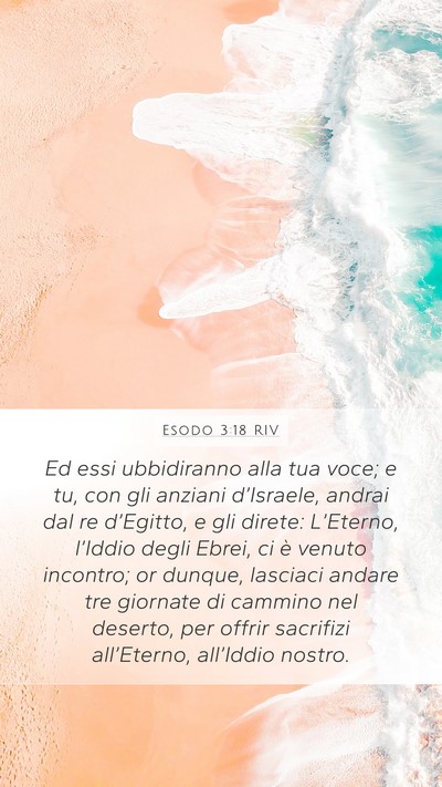 Esodo 3:18 RIV Bible Verse Image