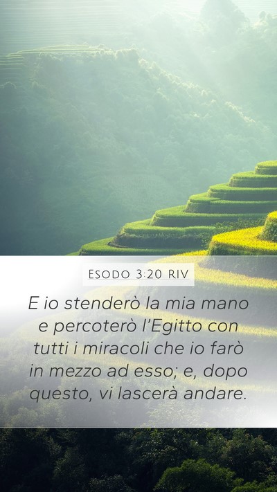Esodo 3:20 RIV Bible Verse Image