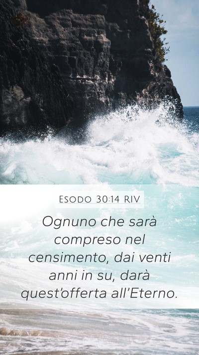 Esodo 30:14 RIV Bible Verse Image