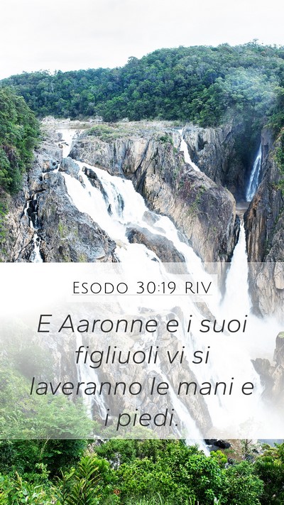 Esodo 30:19 RIV Bible Verse Image