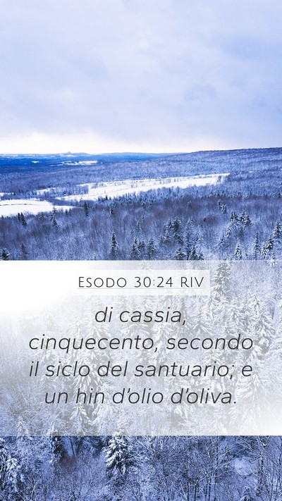 Esodo 30:24 RIV Bible Verse Image
