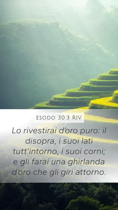 Esodo 30:3 RIV Bible Verse Image