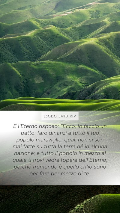 Esodo 34:10 RIV Mobile Phone Wallpaper - E l’Eterno risposo: “Ecco, io faccio un - Mobile Bible Verse Wallpaper