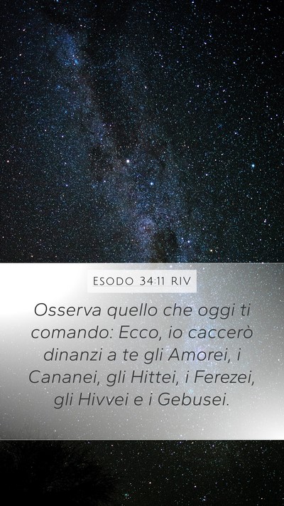 Esodo 34:11 RIV Bible Verse Image
