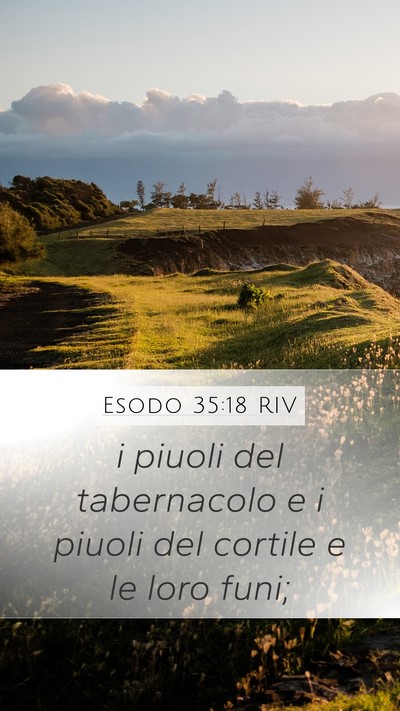 Esodo 35:18 RIV Bible Verse Image