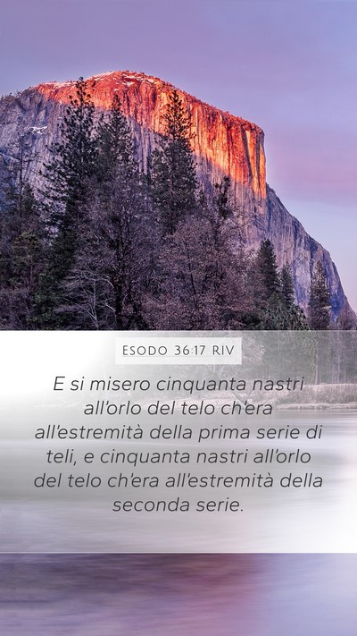 Esodo 36:17 RIV Mobile Phone Wallpaper - E si misero cinquanta nastri all’orlo del telo - Mobile Bible Verse Wallpaper
