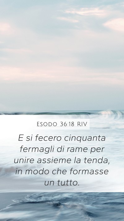 Esodo 36:18 RIV Mobile Phone Wallpaper - E si fecero cinquanta fermagli di rame per unire - Mobile Bible Verse Wallpaper