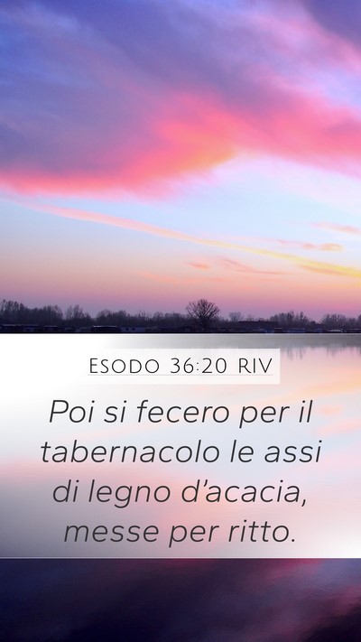 Esodo 36:20 RIV Bible Verse Image