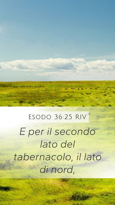Esodo 36:25 RIV Mobile Phone Wallpaper - E per il secondo lato del tabernacolo, il lato di - Mobile Bible Verse Wallpaper