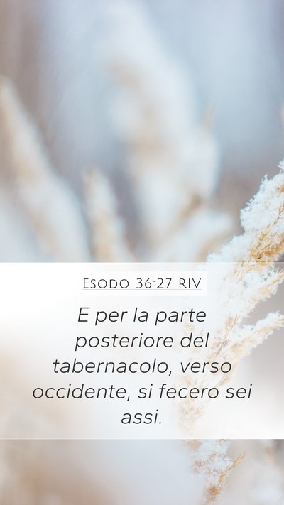 Esodo 36:27 RIV Mobile Phone Wallpaper - E per la parte posteriore del tabernacolo, verso - Mobile Bible Verse Wallpaper