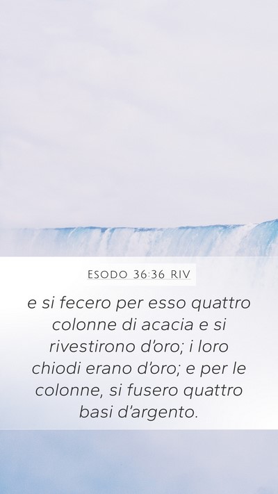 Esodo 36:36 RIV Bible Verse Image