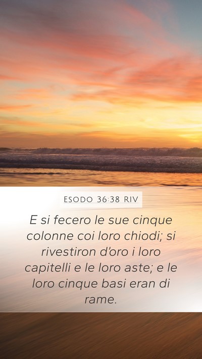 Esodo 36:38 RIV Bible Verse Image