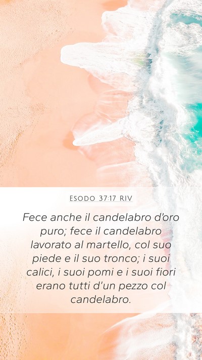 Esodo 37:17 RIV Bible Verse Image