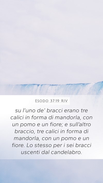 Esodo 37:19 RIV Mobile Phone Wallpaper - su l’uno de’ bracci erano tre calici in forma - Mobile Bible Verse Wallpaper