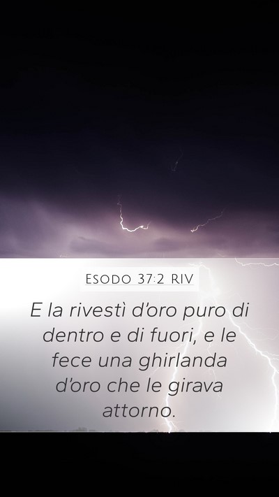 Esodo 37:2 RIV Bible Verse Image