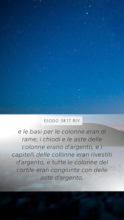 Esodo 38:17 RIV Bible Verse Image