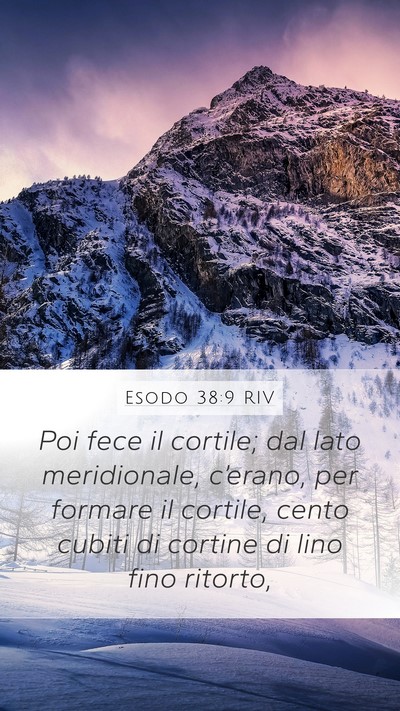 Esodo 38:9 RIV Bible Verse Image