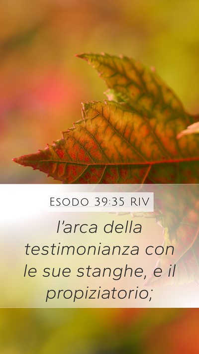 Esodo 39:35 RIV Mobile Phone Wallpaper - l’arca della testimonianza con le sue stanghe, - Mobile Bible Verse Wallpaper