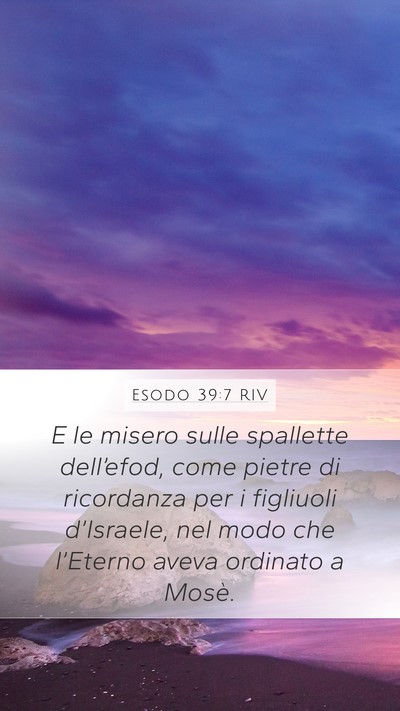 Esodo 39:7 RIV Mobile Phone Wallpaper - E le misero sulle spallette dell’efod, come - Mobile Bible Verse Wallpaper