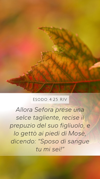 Esodo 4:25 RIV Bible Verse Image