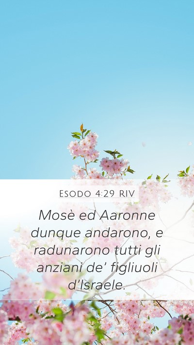 Esodo 4:29 RIV Bible Verse Image