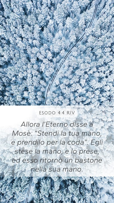 Esodo 4:4 RIV Bible Verse Image