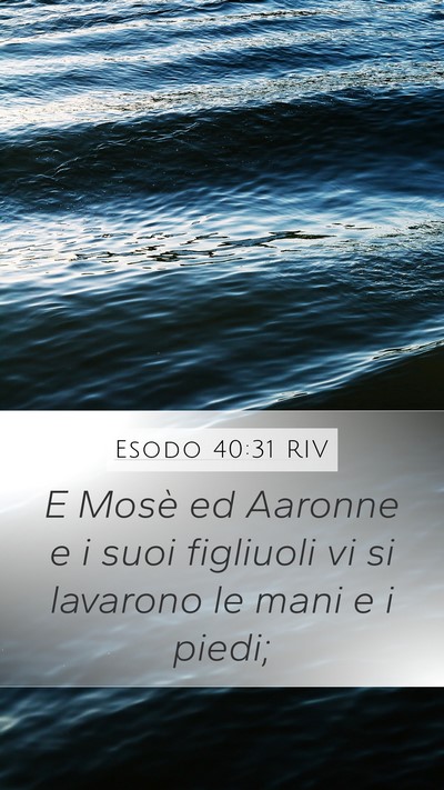 Esodo 40:31 RIV Bible Verse Image