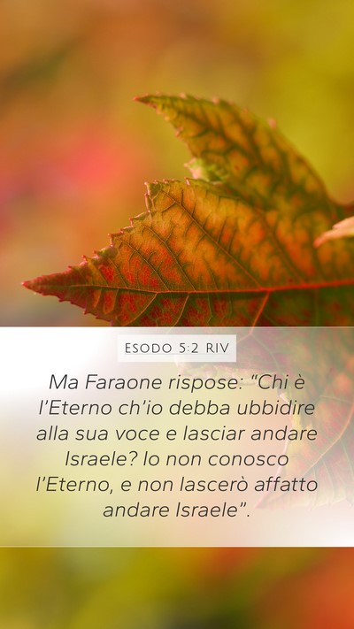 Esodo 5:2 RIV Bible Verse Image
