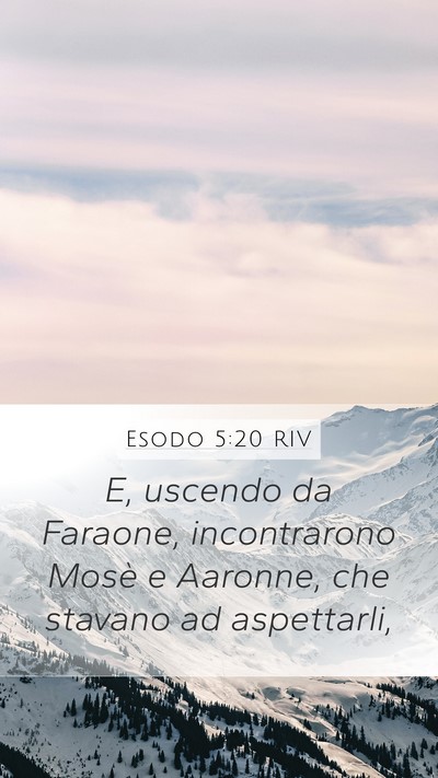 Esodo 5:20 RIV Mobile Phone Wallpaper - E, uscendo da Faraone, incontrarono Mosè e - Mobile Bible Verse Wallpaper