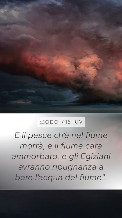 Esodo 7:18 RIV Mobile Phone Wallpaper - E il pesce ch’è nel fiume morrà, e il fiume - Mobile Bible Verse Wallpaper