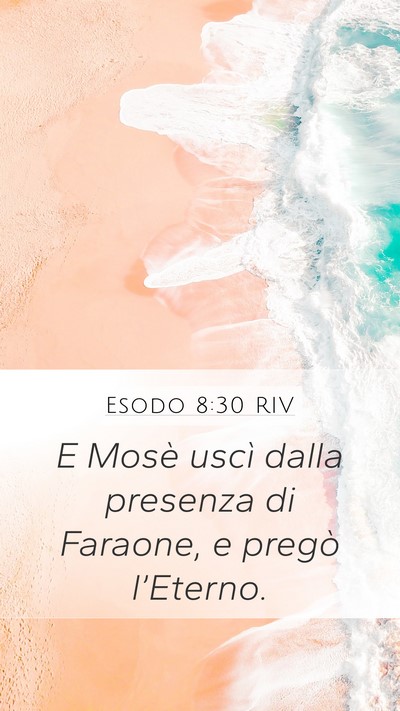 Esodo 8:30 RIV Mobile Phone Wallpaper - E Mosè uscì dalla presenza di Faraone, e pregò - Mobile Bible Verse Wallpaper