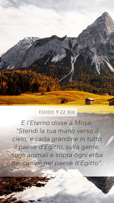 Esodo 9:22 RIV Bible Verse Image