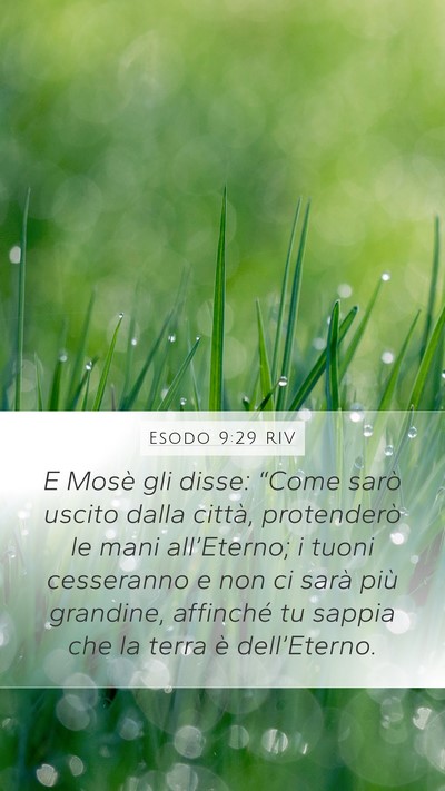 Esodo 9:29 RIV Bible Verse Image