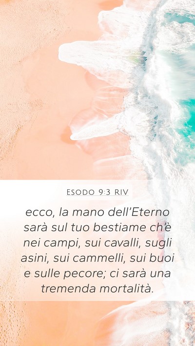 Esodo 9:3 RIV Bible Verse Image