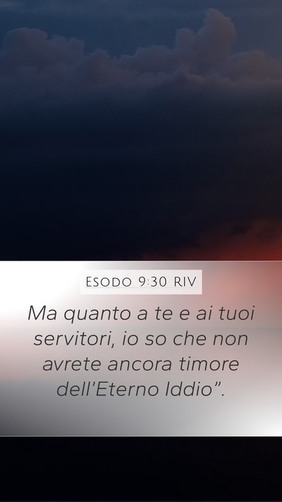 Esodo 9:30 RIV Mobile Phone Wallpaper - Ma quanto a te e ai tuoi servitori, io so che non - Mobile Bible Verse Wallpaper